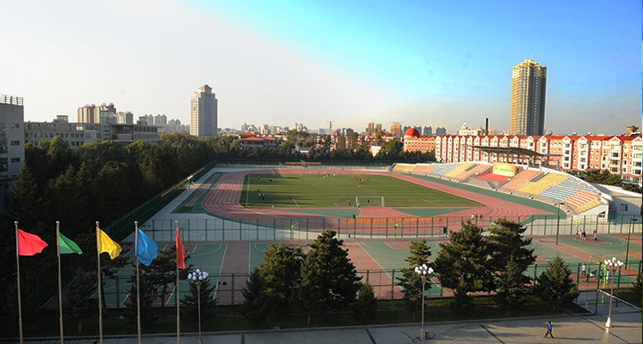 0432-64560165