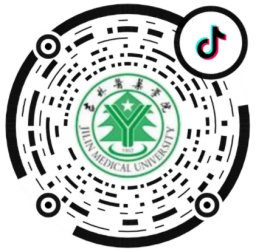 历年分数