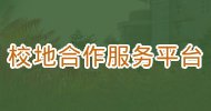 校园风光